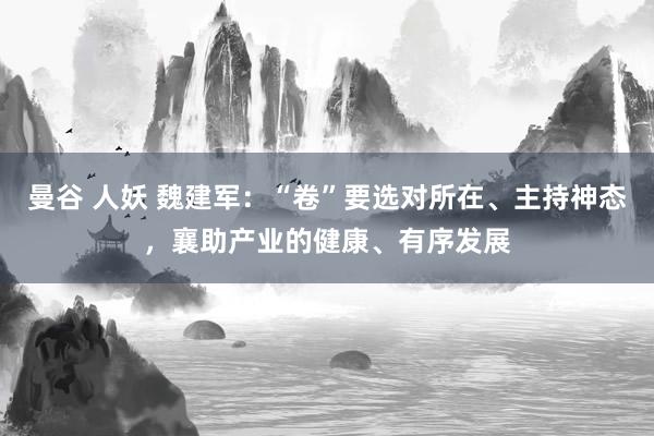 曼谷 人妖 魏建军：“卷”要选对所在、主持神态，襄助产业的健康、有序发展