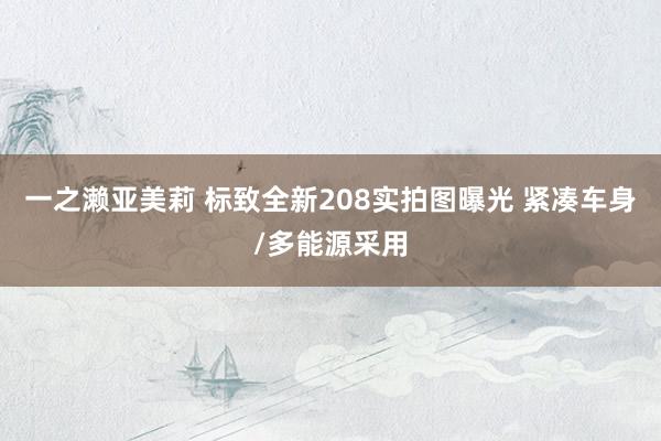 一之濑亚美莉 标致全新208实拍图曝光 紧凑车身/多能源采用