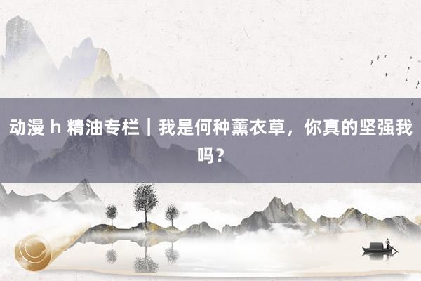 动漫 h 精油专栏｜我是何种薰衣草，你真的坚强我吗？