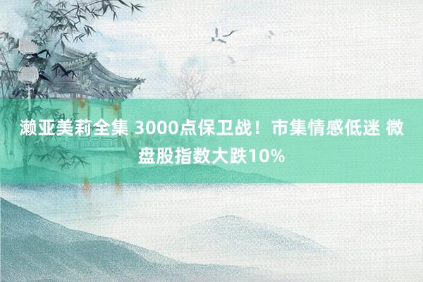 濑亚美莉全集 3000点保卫战！市集情感低迷 微盘股指数大跌10%