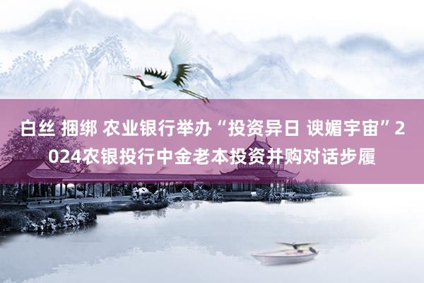 白丝 捆绑 农业银行举办“投资异日 谀媚宇宙”2024农银投行中金老本投资并购对话步履