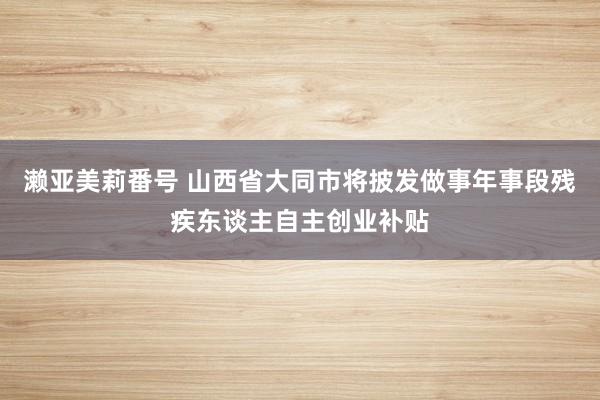 濑亚美莉番号 山西省大同市将披发做事年事段残疾东谈主自主创业补贴