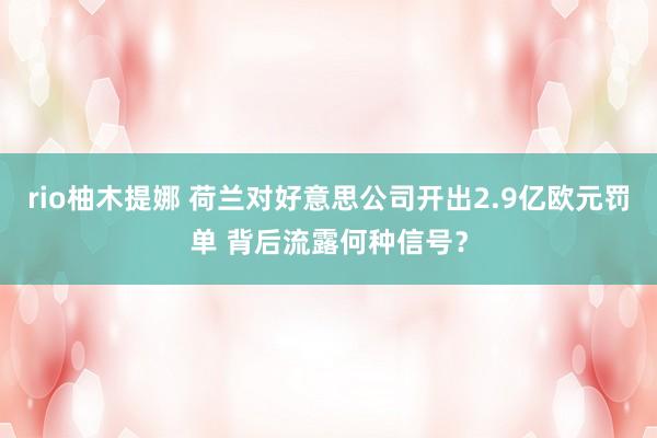 rio柚木提娜 荷兰对好意思公司开出2.9亿欧元罚单 背后流露何种信号？