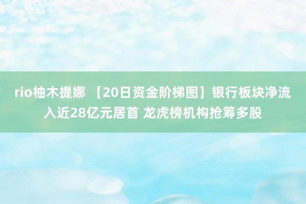 rio柚木提娜 【20日资金阶梯图】银行板块净流入近28亿元居首 龙虎榜机构抢筹多股