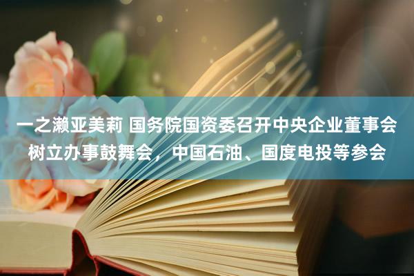 一之濑亚美莉 国务院国资委召开中央企业董事会树立办事鼓舞会，中国石油、国度电投等参会