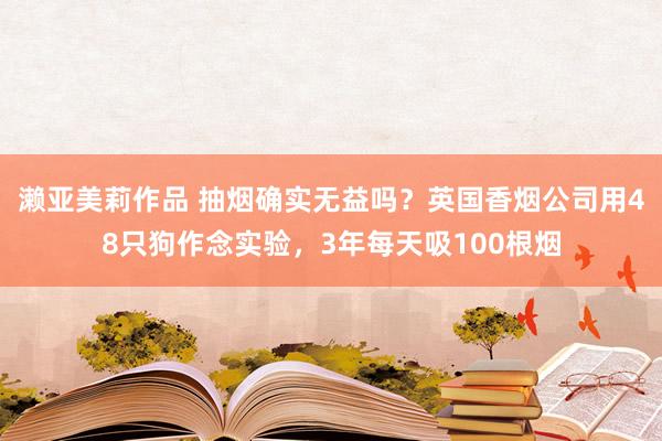 濑亚美莉作品 抽烟确实无益吗？英国香烟公司用48只狗作念实验，3年每天吸100根烟