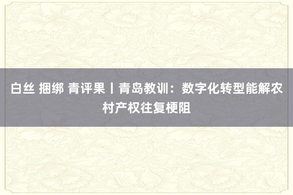 白丝 捆绑 青评果丨青岛教训：数字化转型能解农村产权往复梗阻