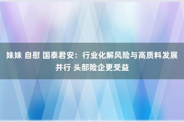 妹妹 自慰 国泰君安：行业化解风险与高质料发展并行 头部险企更受益