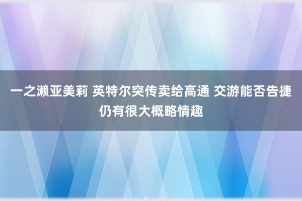 一之濑亚美莉 英特尔突传卖给高通 交游能否告捷仍有很大概略情趣