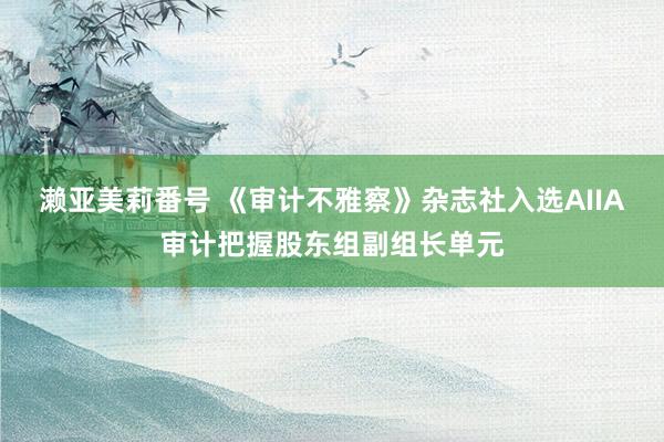 濑亚美莉番号 《审计不雅察》杂志社入选AIIA审计把握股东组副组长单元