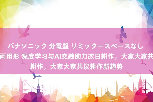 パナソニック 分電盤 リミッタースペースなし 露出・半埋込両用形 深度学习与AI交融助力改日耕作，大家大家共议耕作新趋势