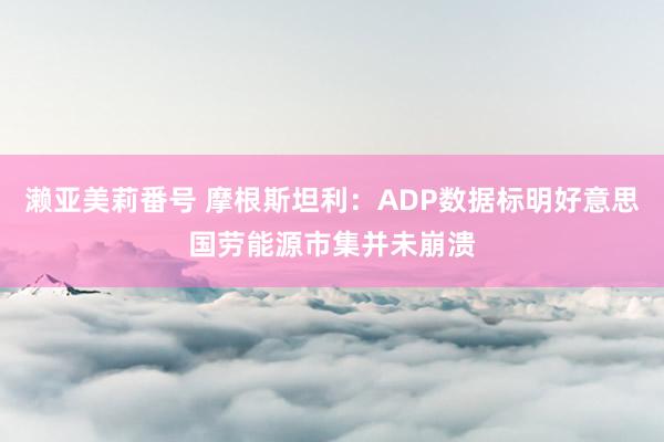 濑亚美莉番号 摩根斯坦利：ADP数据标明好意思国劳能源市集并未崩溃