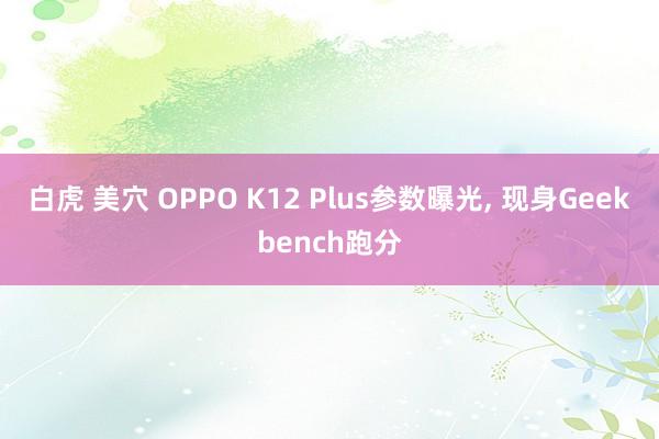 白虎 美穴 OPPO K12 Plus参数曝光， 现身Geekbench跑分