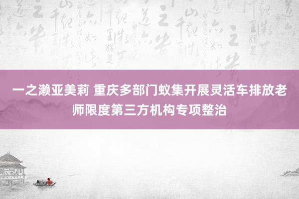 一之濑亚美莉 重庆多部门蚁集开展灵活车排放老师限度第三方机构专项整治