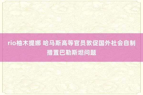 rio柚木提娜 哈马斯高等官员敦促国外社会自制措置巴勒斯坦问题