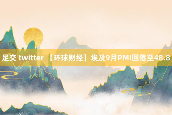 足交 twitter 【环球财经】埃及9月PMI回落至48.8