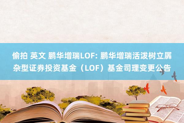 偷拍 英文 鹏华增瑞LOF: 鹏华增瑞活泼树立羼杂型证券投资基金（LOF）基金司理变更公告