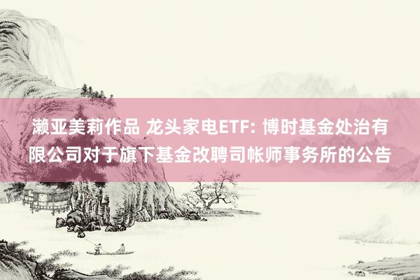 濑亚美莉作品 龙头家电ETF: 博时基金处治有限公司对于旗下基金改聘司帐师事务所的公告