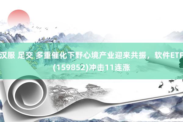 汉服 足交 多重催化下野心境产业迎来共振，软件ETF(159852)冲击11连涨