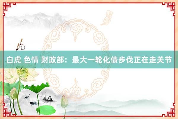 白虎 色情 财政部：最大一轮化债步伐正在走关节