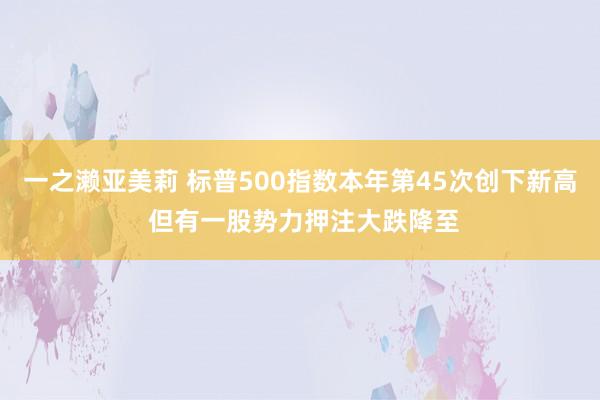 一之濑亚美莉 标普500指数本年第45次创下新高 但有一股势力押注大跌降至