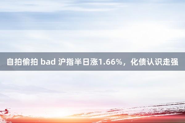 自拍偷拍 bad 沪指半日涨1.66%，化债认识走强