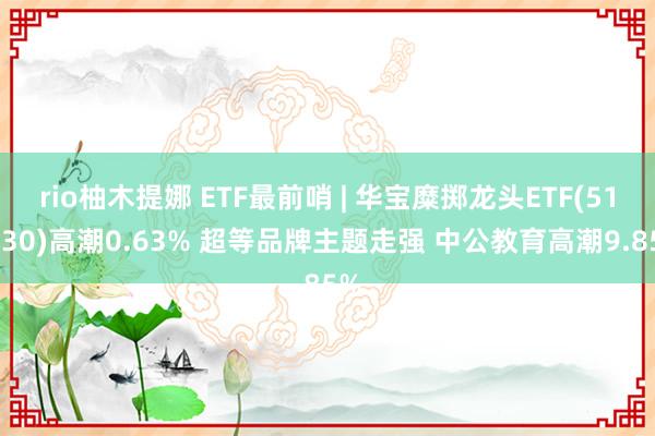 rio柚木提娜 ETF最前哨 | 华宝糜掷龙头ETF(516130)高潮0.63% 超等品牌主题走强 中公教育高潮9.85%