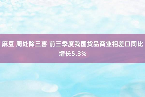 麻豆 周处除三害 前三季度我国货品商业相差口同比增长5.3%