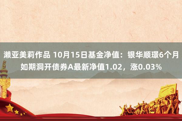 濑亚美莉作品 10月15日基金净值：银华顺璟6个月如期洞开债券A最新净值1.02，涨0.03%