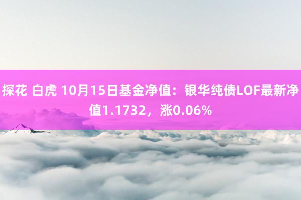 探花 白虎 10月15日基金净值：银华纯债LOF最新净值1.1732，涨0.06%