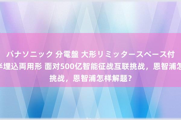 パナソニック 分電盤 大形リミッタースペース付 露出・半埋込両用形 面对500亿智能征战互联挑战，恩智浦怎样解题？