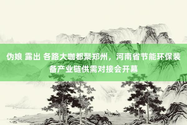 伪娘 露出 各路大咖都聚郑州，河南省节能环保装备产业链供需对接会开幕