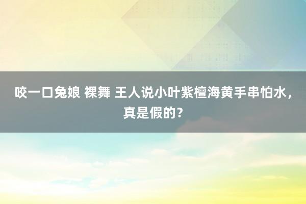 咬一口兔娘 裸舞 王人说小叶紫檀海黄手串怕水，真是假的？