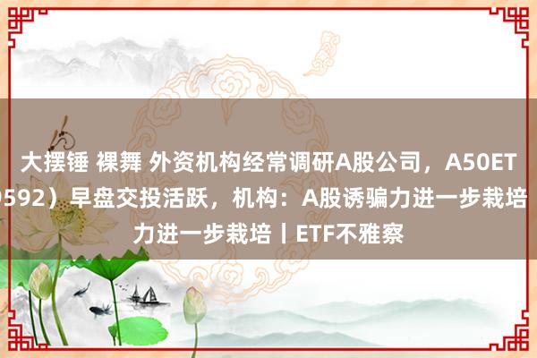 大摆锤 裸舞 外资机构经常调研A股公司，A50ETF基金（159592）早盘交投活跃，机构：A股诱骗力进一步栽培丨ETF不雅察