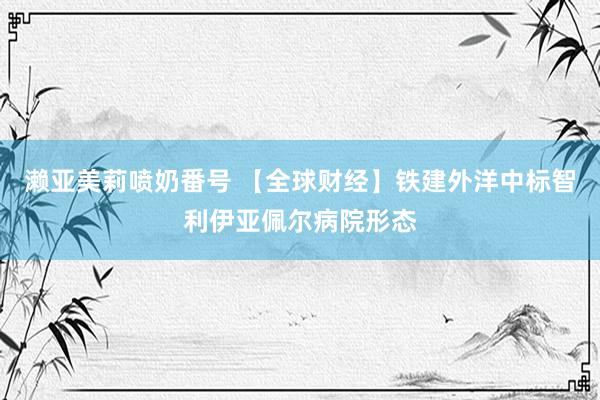 濑亚美莉喷奶番号 【全球财经】铁建外洋中标智利伊亚佩尔病院形态