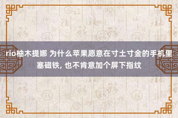 rio柚木提娜 为什么苹果愿意在寸土寸金的手机里塞磁铁， 也不肯意加个屏下指纹