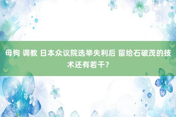 母狗 调教 日本众议院选举失利后 留给石破茂的技术还有若干？