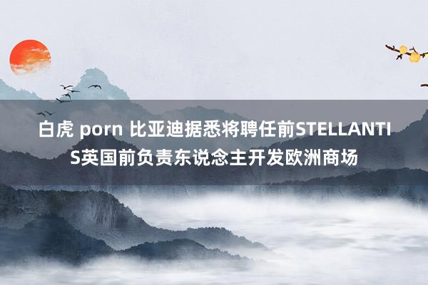 白虎 porn 比亚迪据悉将聘任前STELLANTIS英国前负责东说念主开发欧洲商场