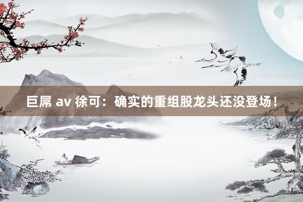 巨屌 av 徐可：确实的重组股龙头还没登场！