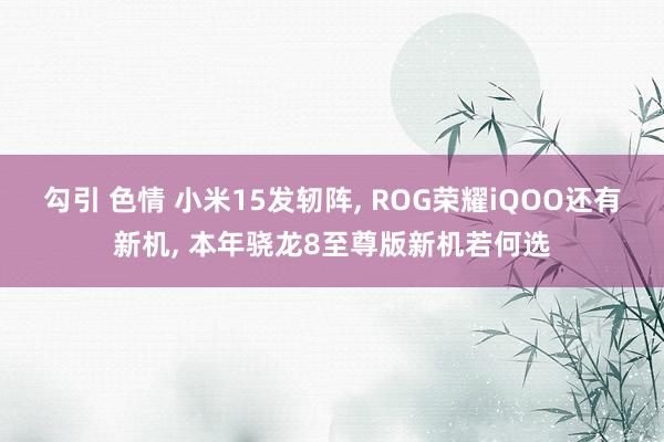 勾引 色情 小米15发轫阵， ROG荣耀iQOO还有新机， 本年骁龙8至尊版新机若何选