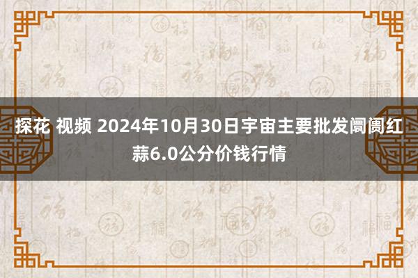 探花 视频 2024年10月30日宇宙主要批发阛阓红蒜6.0公分价钱行情