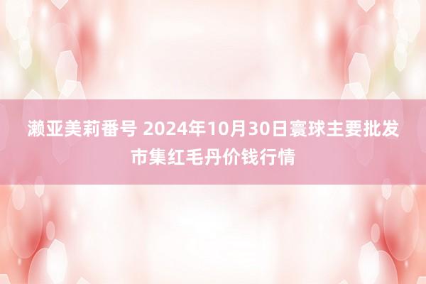 濑亚美莉番号 2024年10月30日寰球主要批发市集红毛丹价钱行情