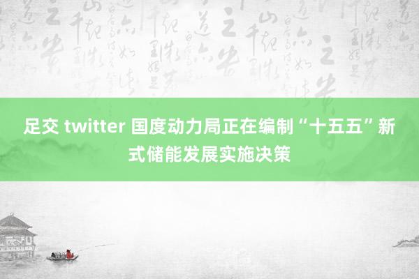 足交 twitter 国度动力局正在编制“十五五”新式储能发展实施决策