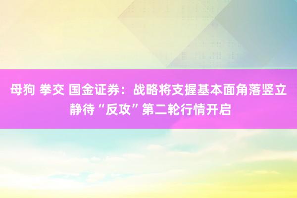 母狗 拳交 国金证券：战略将支握基本面角落竖立 静待“反攻”第二轮行情开启