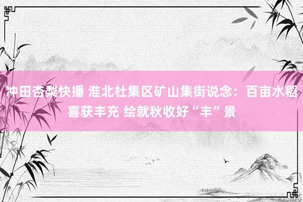 冲田杏梨快播 淮北杜集区矿山集街说念：百亩水稻喜获丰充 绘就秋收好“丰”景