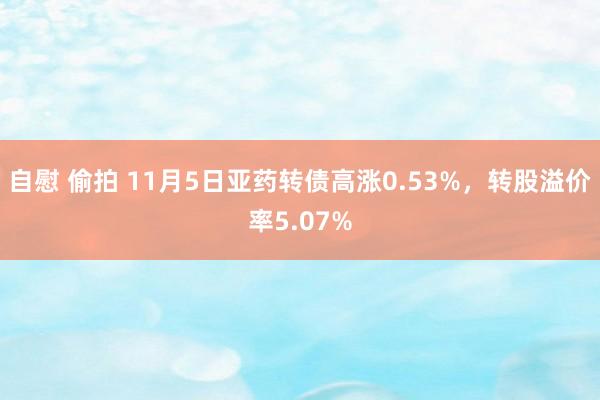 自慰 偷拍 11月5日亚药转债高涨0.53%，转股溢价率5.07%