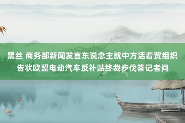 黑丝 商务部新闻发言东说念主就中方活着贸组织告状欧盟电动汽车反补贴终裁步伐答记者问