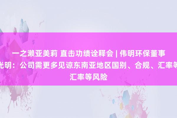 一之濑亚美莉 直击功绩诠释会 | 伟明环保董事长项光明：公司需更多见谅东南亚地区国别、合规、汇率等风险