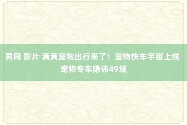 男同 影片 滴滴宠物出行来了！宠物快车宇宙上线 宠物专车隐讳49城