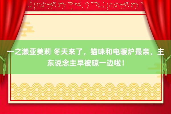 一之濑亚美莉 冬天来了，猫咪和电暖炉最亲，主东说念主早被晾一边啦！